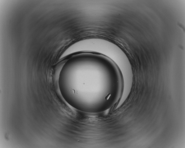 X0000097750423200803141600