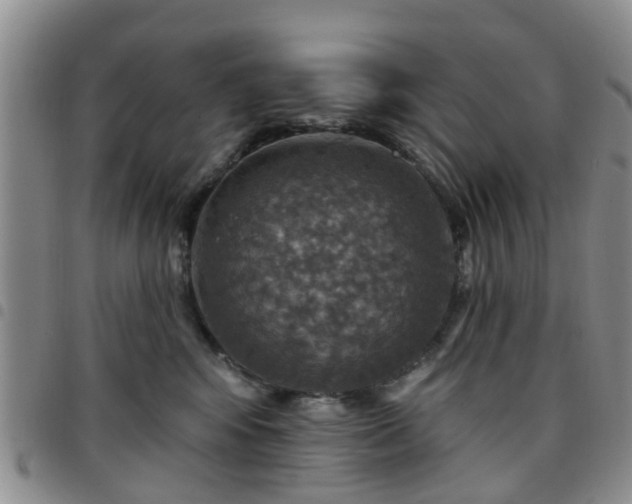 X0000097750424200803141600