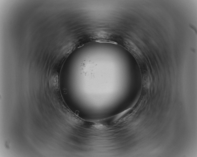 X0000097750425200803141600