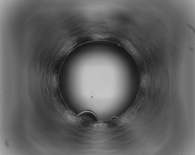 X0000097750426200803141600