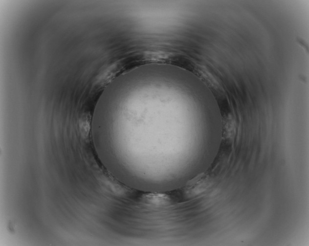 X0000097750427200803141600