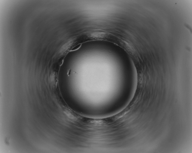 X0000097750428200803141600