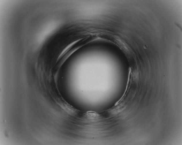 X0000097750429200803141600