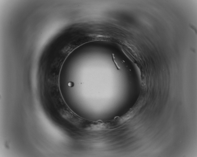 X0000097750430200803141600