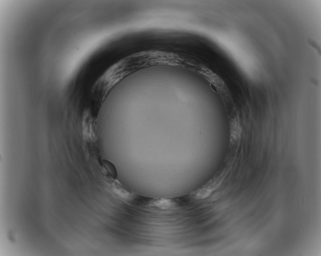 X0000097750431200803141600