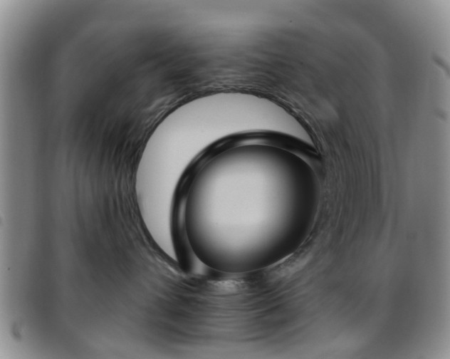 X0000097750432200803141600