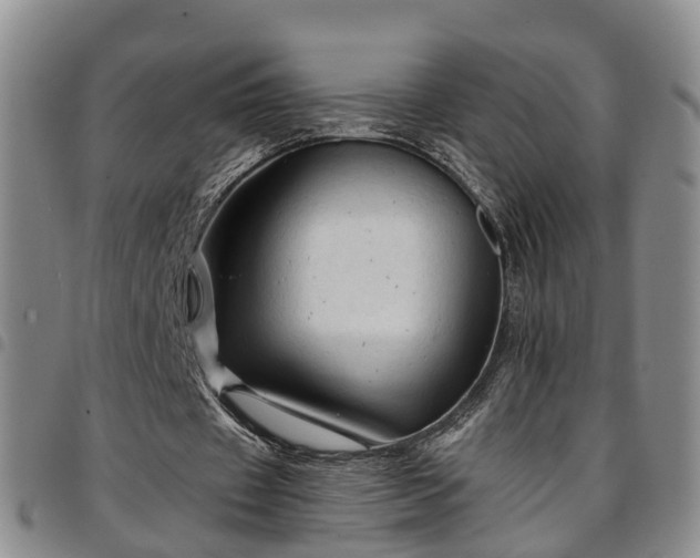 X0000097750433200803141600