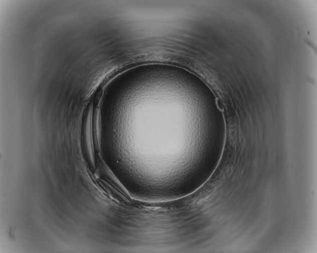 X0000097750434200803141600