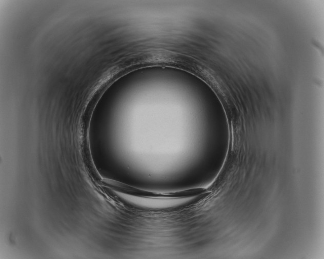 X0000097750435200803141600