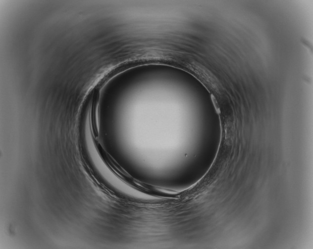 X0000097750436200803141600