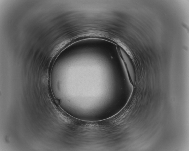 X0000097750437200803141600