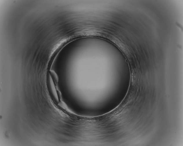 X0000097750438200803141600