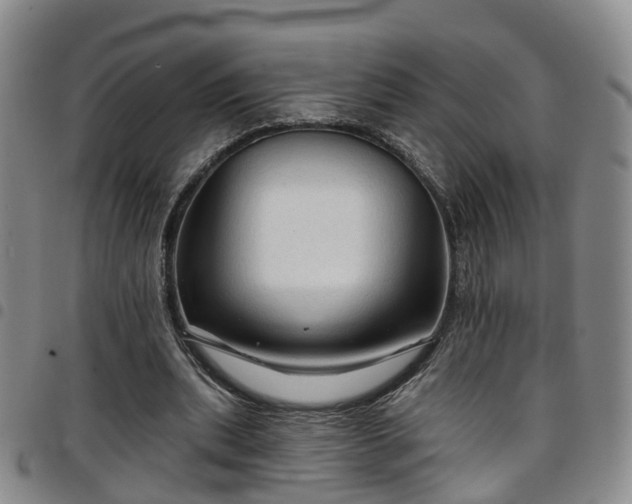 X0000097750439200803141600