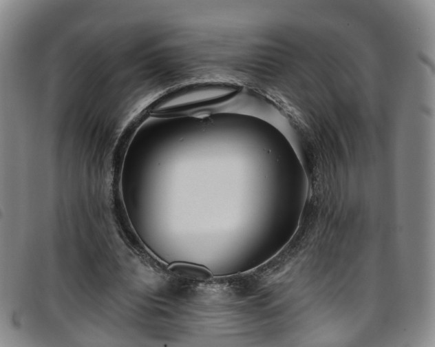 X0000097750440200803141600