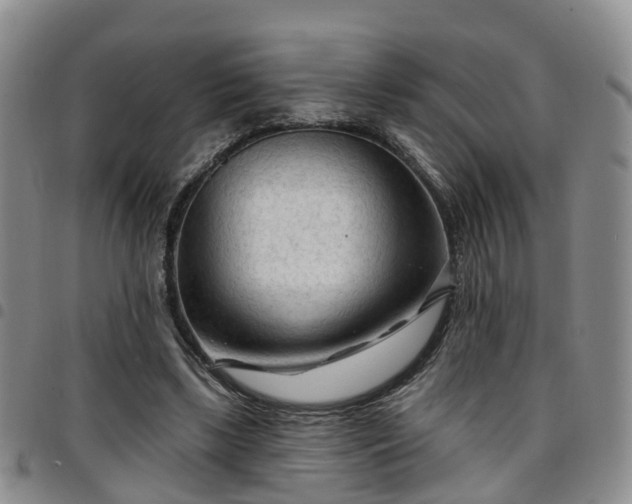 X0000097750443200803141600