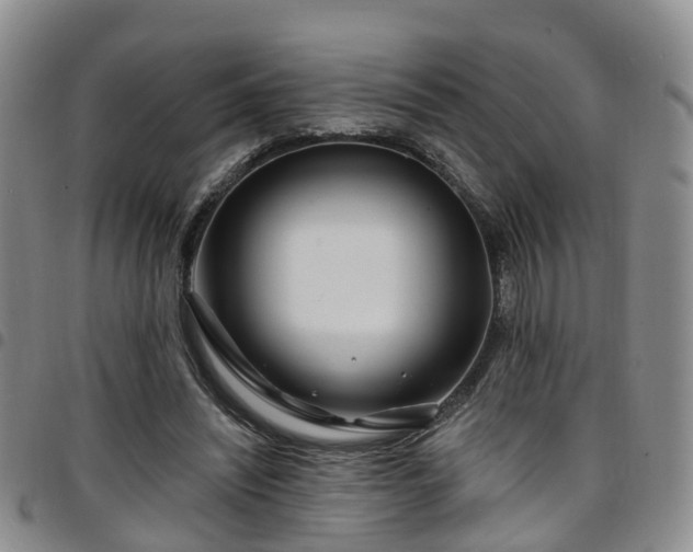 X0000097750444200803141600