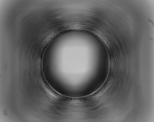 X0000097750445200803141600