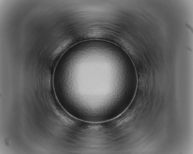 X0000097750446200803141600