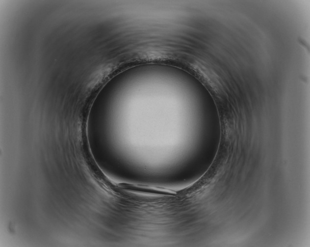 X0000097750447200803141600