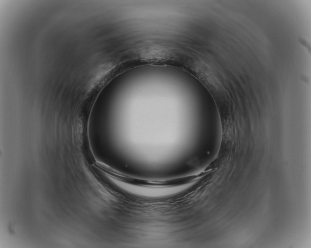 X0000097750448200803141600