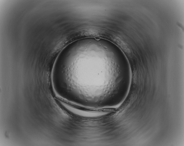 X0000097750449200803141600