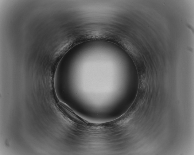 X0000097750450200803141600