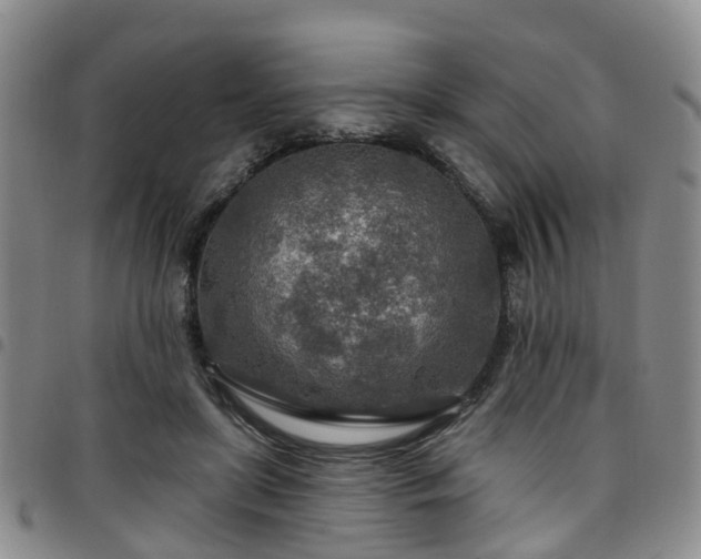 X0000097750451200803141600