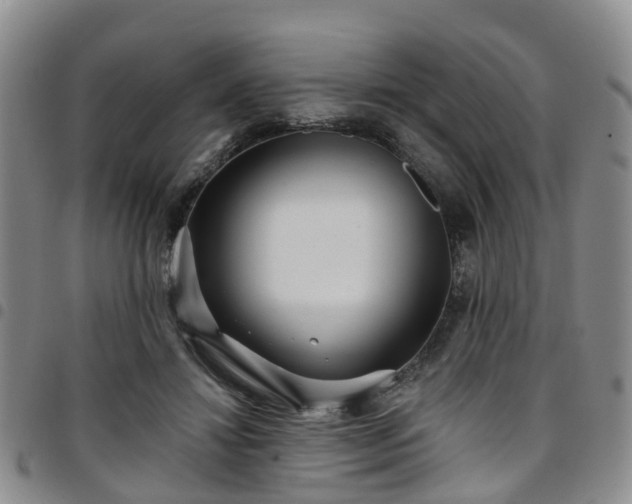 X0000097750452200803141600