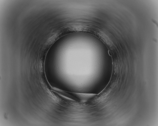 X0000097750453200803141600