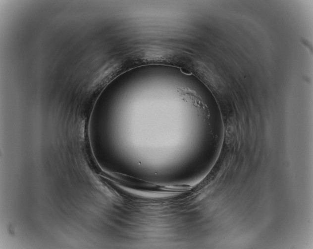 X0000097750454200803141600