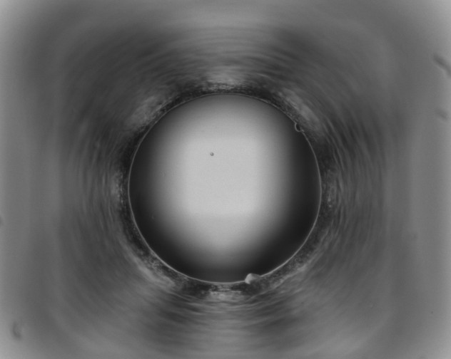 X0000097750455200803141600