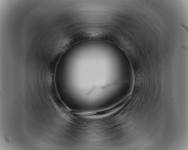 X0000097750456200803141600