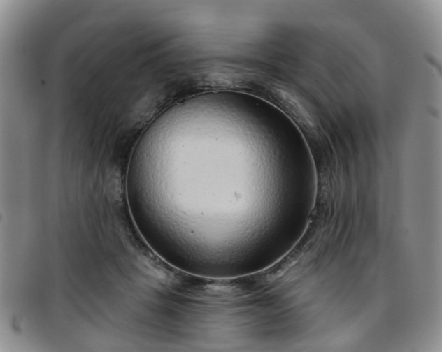 X0000097750457200803141600