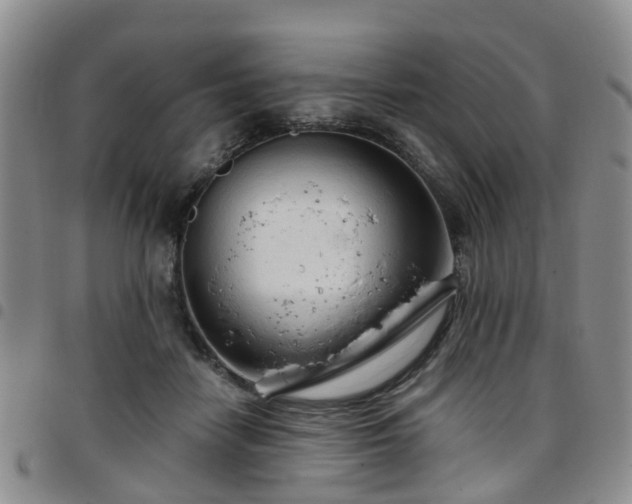 X0000097750458200803141600