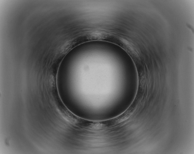 X0000097750459200803141600