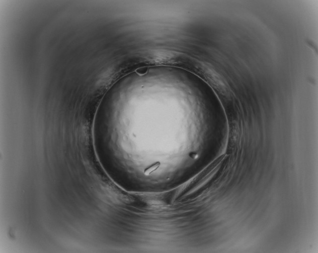 X0000097750461200803141600