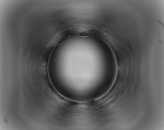 X0000097750462200803141600