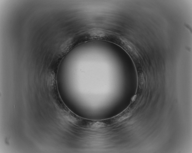 X0000097750463200803141600