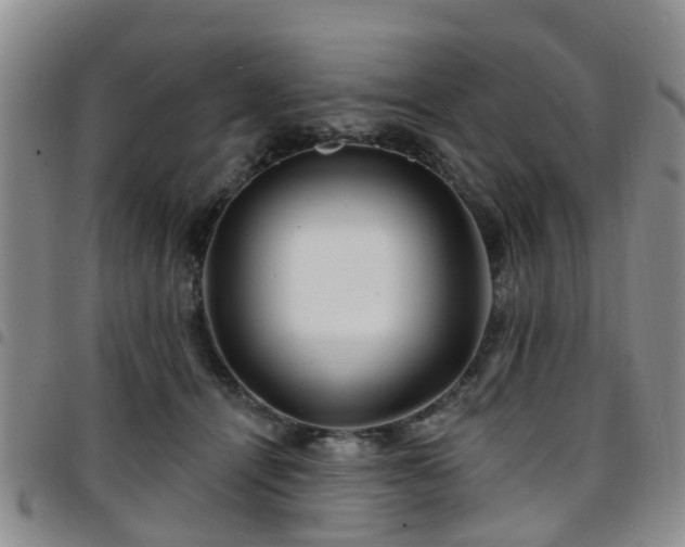 X0000097750464200803141600