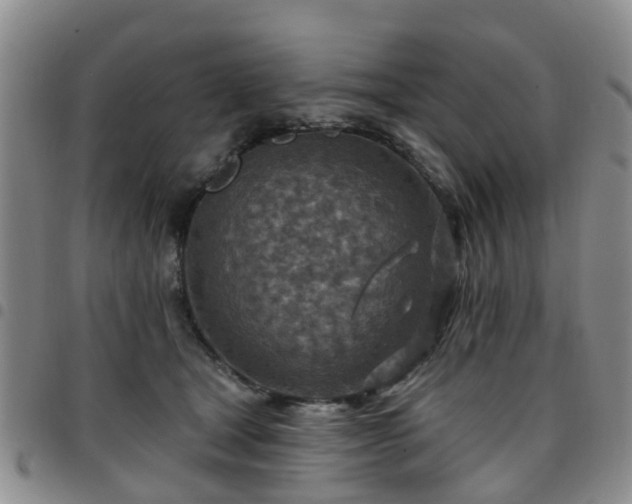 X0000097750465200803141600