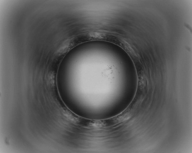 X0000097750466200803141600