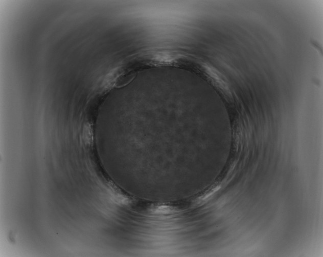 X0000097750467200803141600