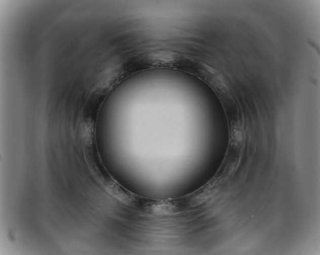 X0000097750468200803141600