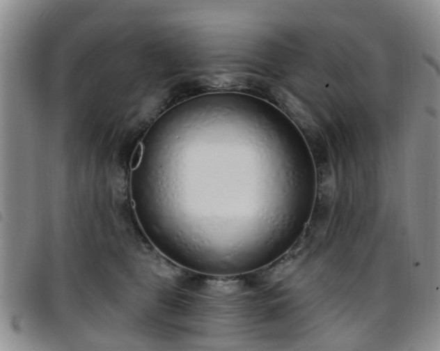 X0000097750469200803141600