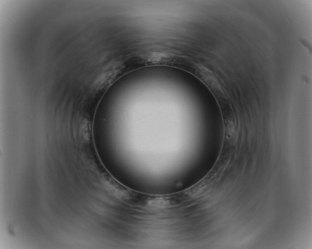 X0000097750470200803141600