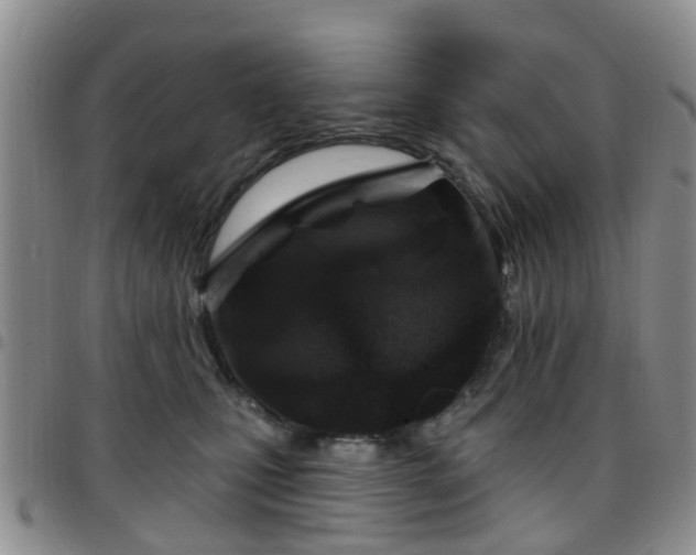 X0000097750471200803141600