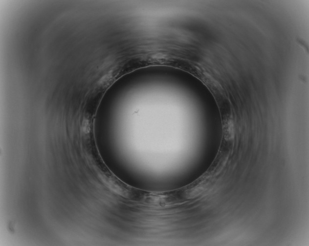 X0000097750472200803141600