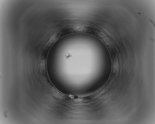 X0000097750473200803141600