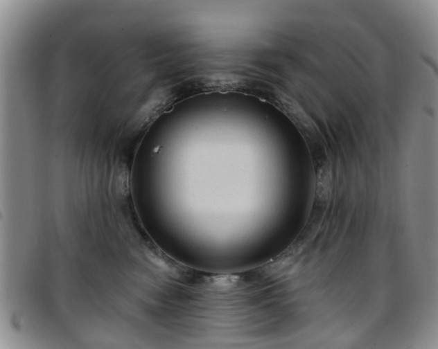 X0000097750474200803141600