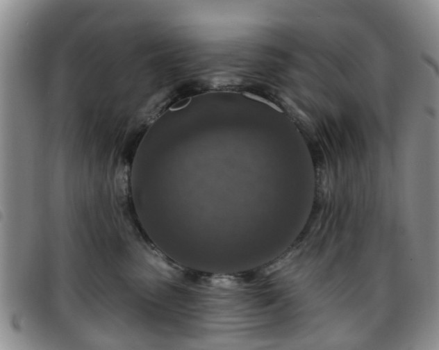 X0000097750475200803141600